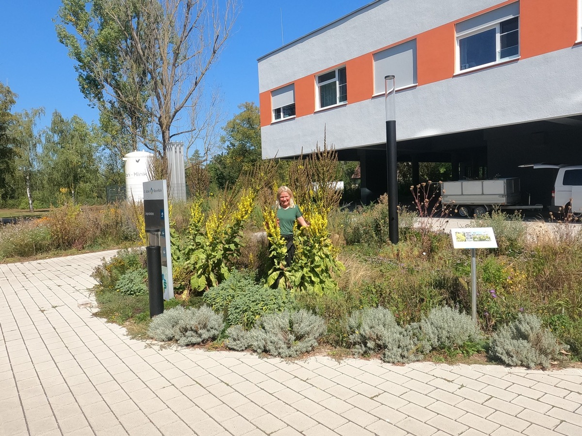 Naturnahe Außenanlagen in der Dr. Becker Kiliani-Klinik