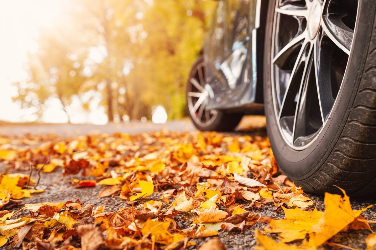 Glatte Straßen ganz ohne Schnee &amp; Eis / Laub im Herbst kann zur Rutschpartie werden