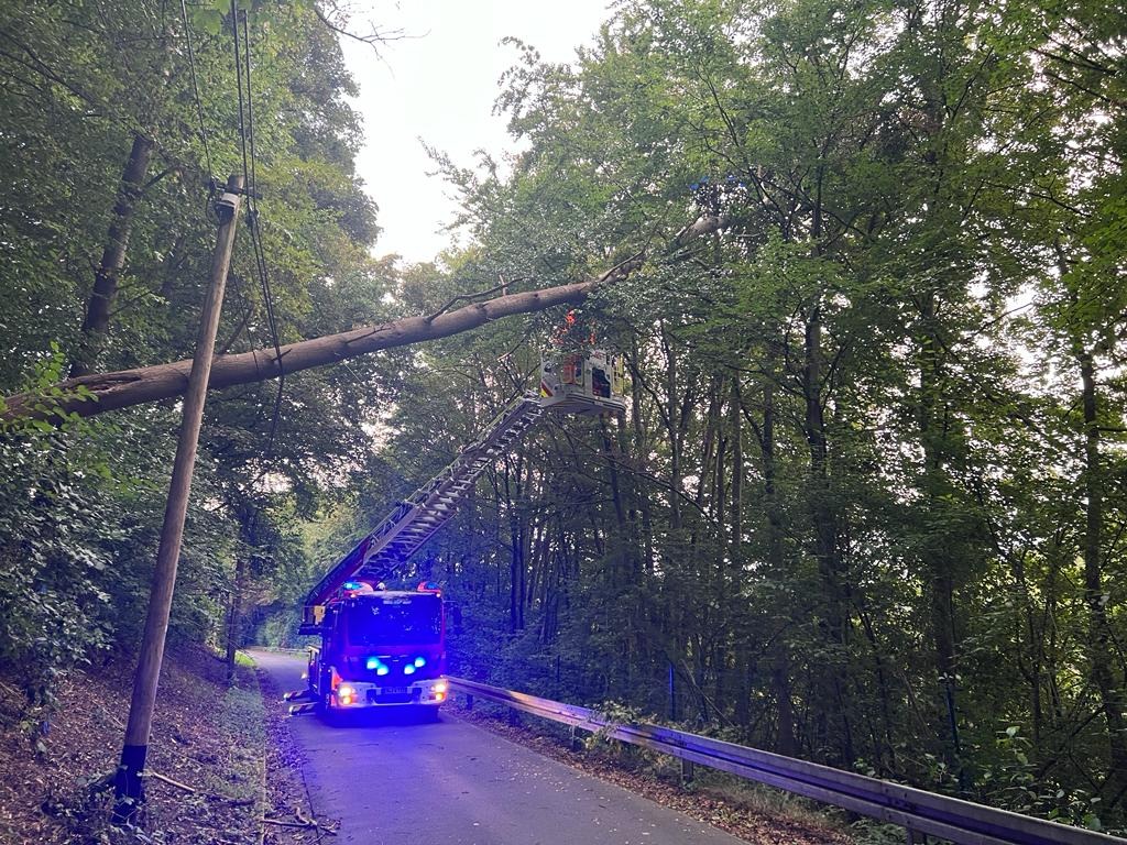 FW-EN: Feuerwehr beseitigt Baum