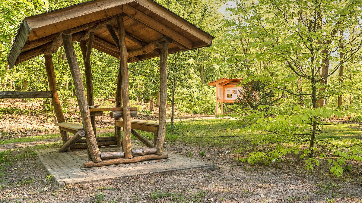 FriedWald Mühlenbecker Land ein Jahr in Betrieb