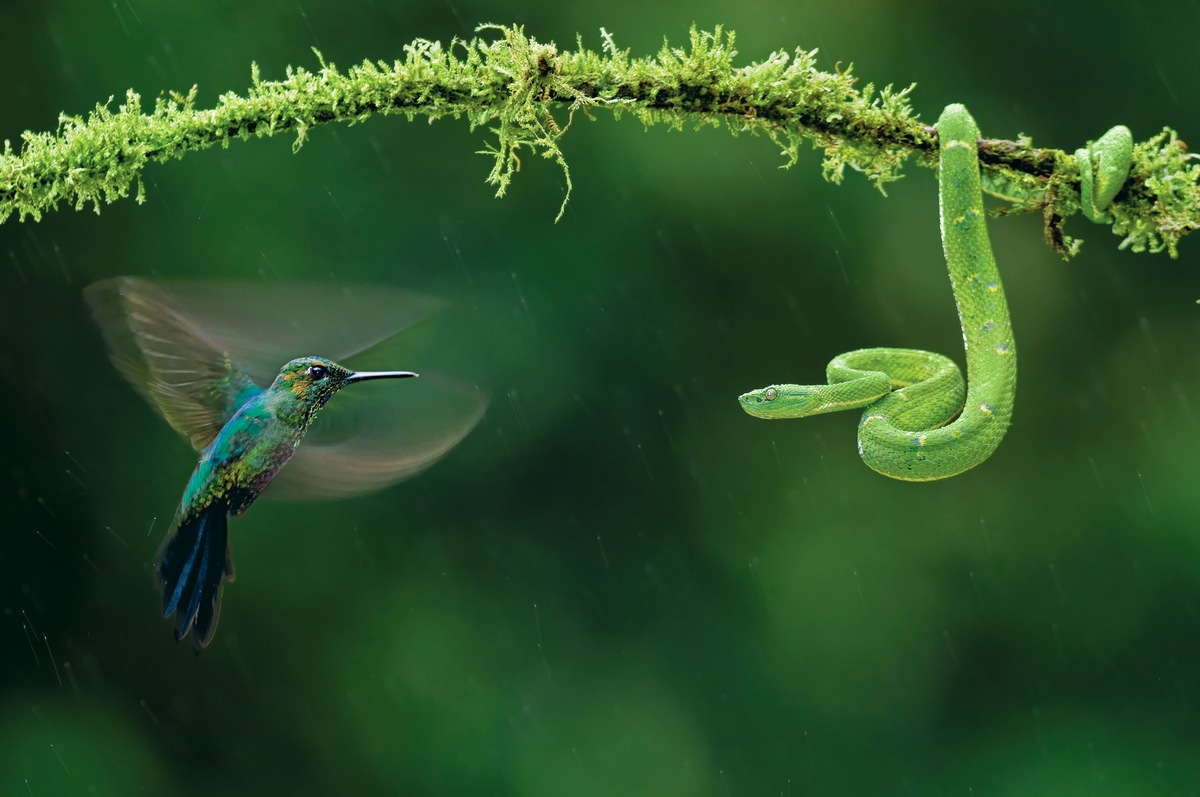 NATIONAL GEOGRAPHIC präsentiert neue Fotoausstellung: &quot;Phänomenal!&quot; / Ausstellungspremiere vom 2. bis 4. Februar 2018 auf der MUNDOLOGIA in Freiburg