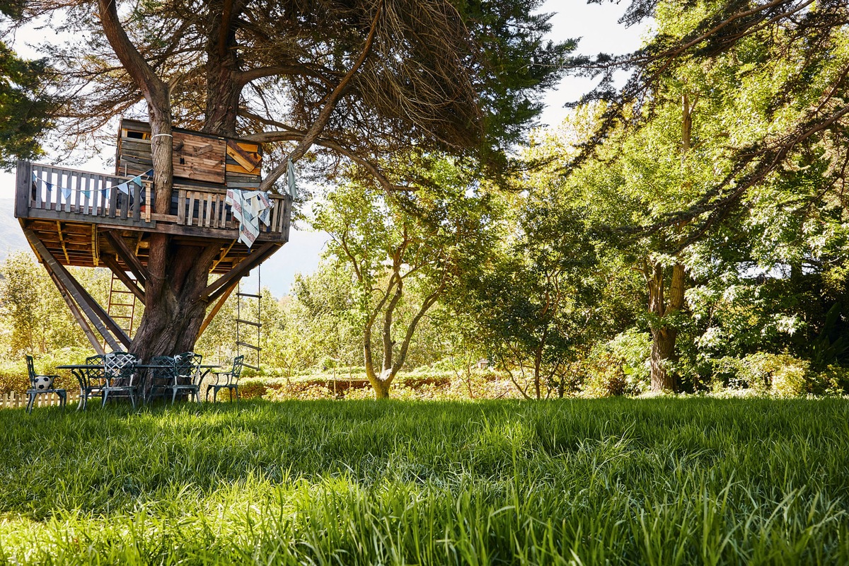 Der Apfelbaum ist der liebste Baum der Deutschen / Das &quot;STIHL Garten-Barometer 2021&quot; gibt Auskunft über den Baumbestand in deutschen Gärten