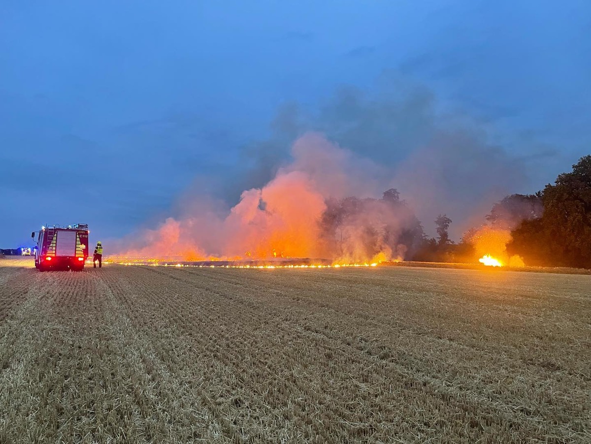 FW-DT: Flächenbrand 3 - rund 100 Einsatzkräfte im Einsatz