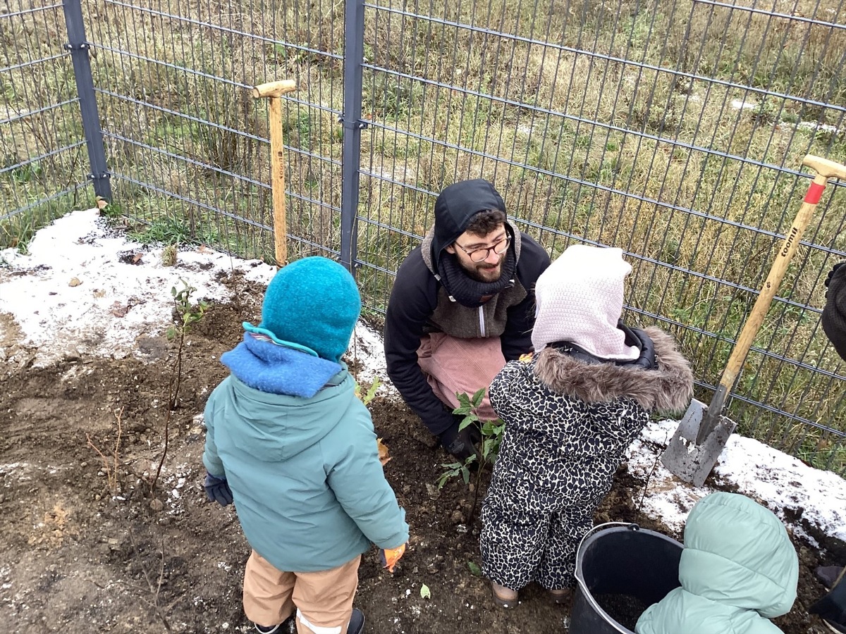 PM Tiny Forest Projekte von FRÖBEL in Potsdam