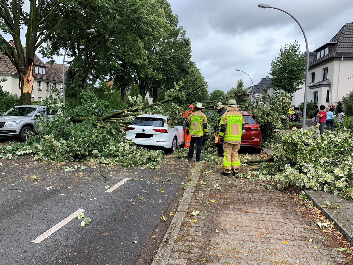 FW-GLA: Astgabel auf PKW. Eine verletzte Person.