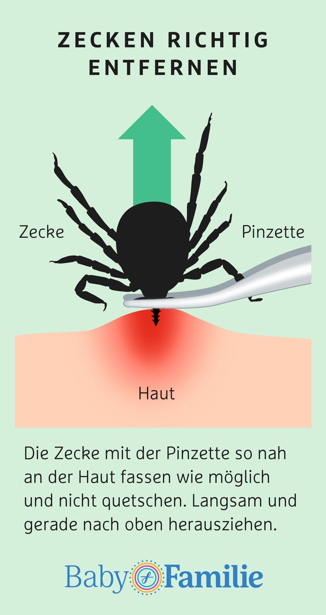 Zecken: Wie Eltern ihr Kind am besten schützen