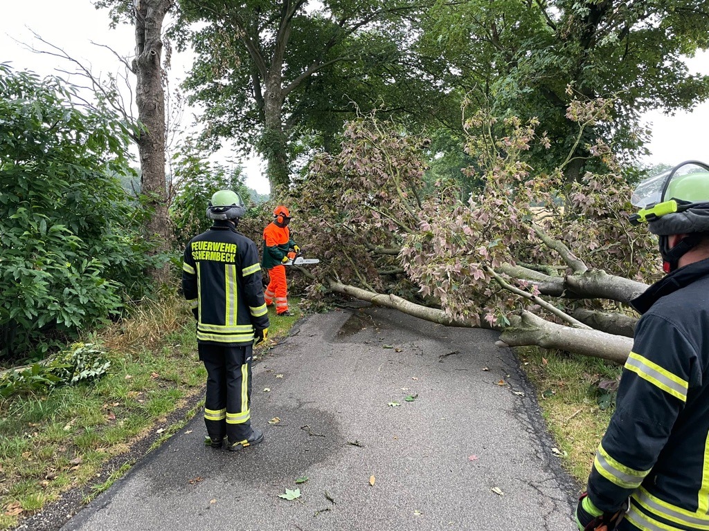 FW-Schermbeck: Baum auf Fahrbahn