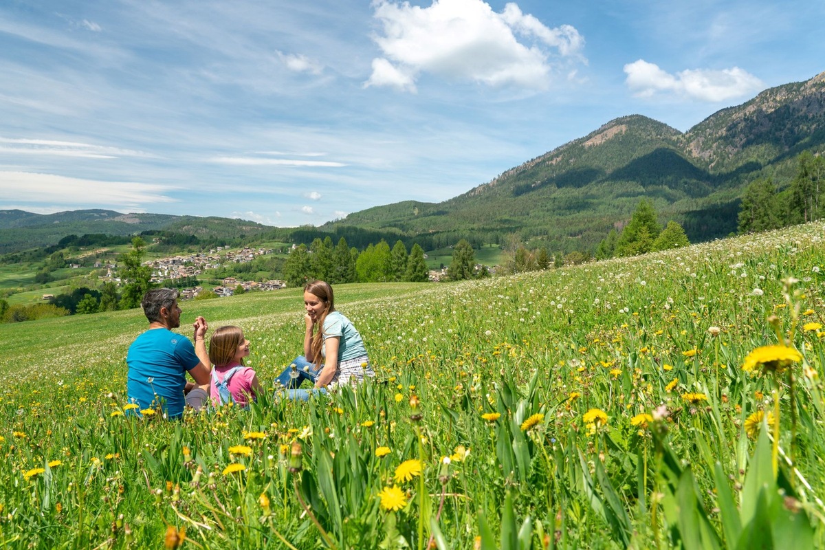 Blühendes Trentino - Die Top 4 Frühlings-Bergwiesen