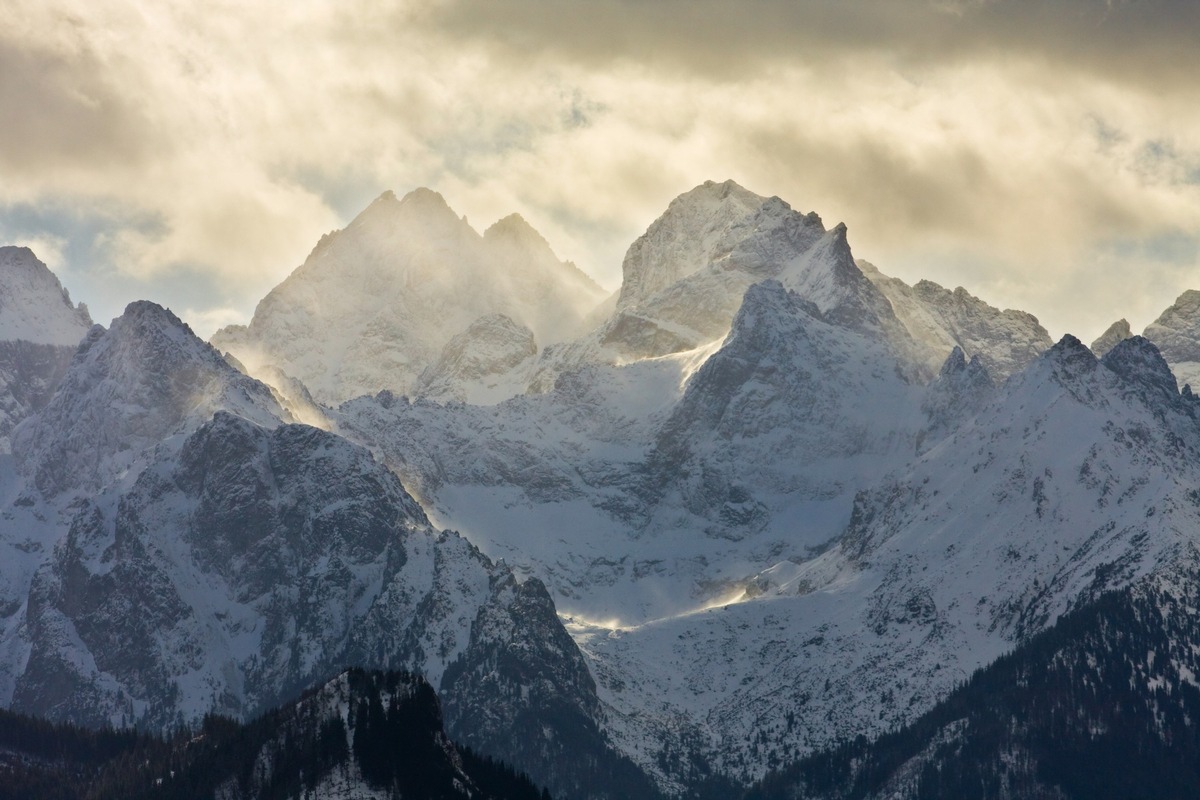 Neustark and Zürcher Kantonalbank to remove thousands of tons of CO2 together