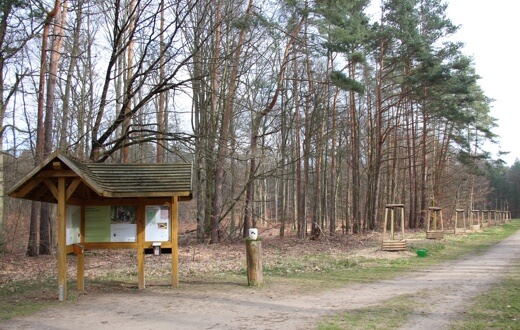 Zehn Jahre FriedWald Bernau bei Berlin