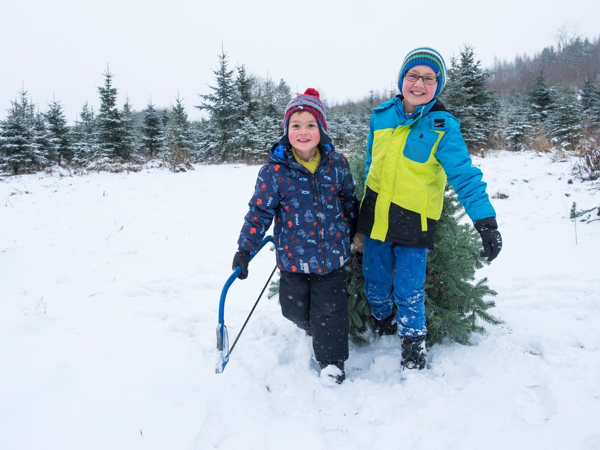 Besuch im Weihnachtsbaumland – wo Tradition zu Hause ist