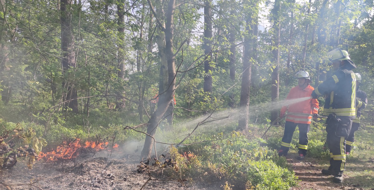 FW Celle: Vegetationsbrand im Lönsweg