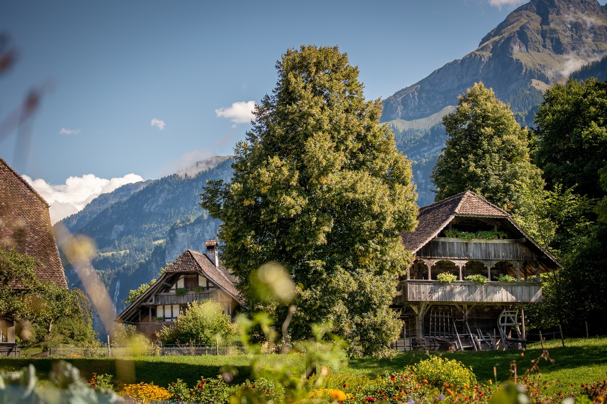 Swiss Open-Air Museum posts a positive result