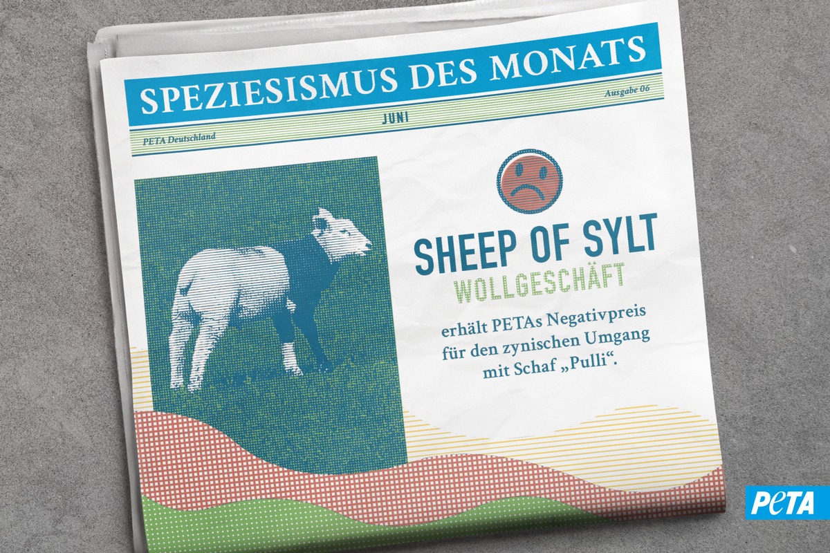 Leid im Schafspelz: &quot;Sheep of Sylt&quot; wirbt mit Lamm namens &quot;Pulli&quot;- und erhält dafür PETAs Negativpreis &quot;Speziesismus des Monats&quot;