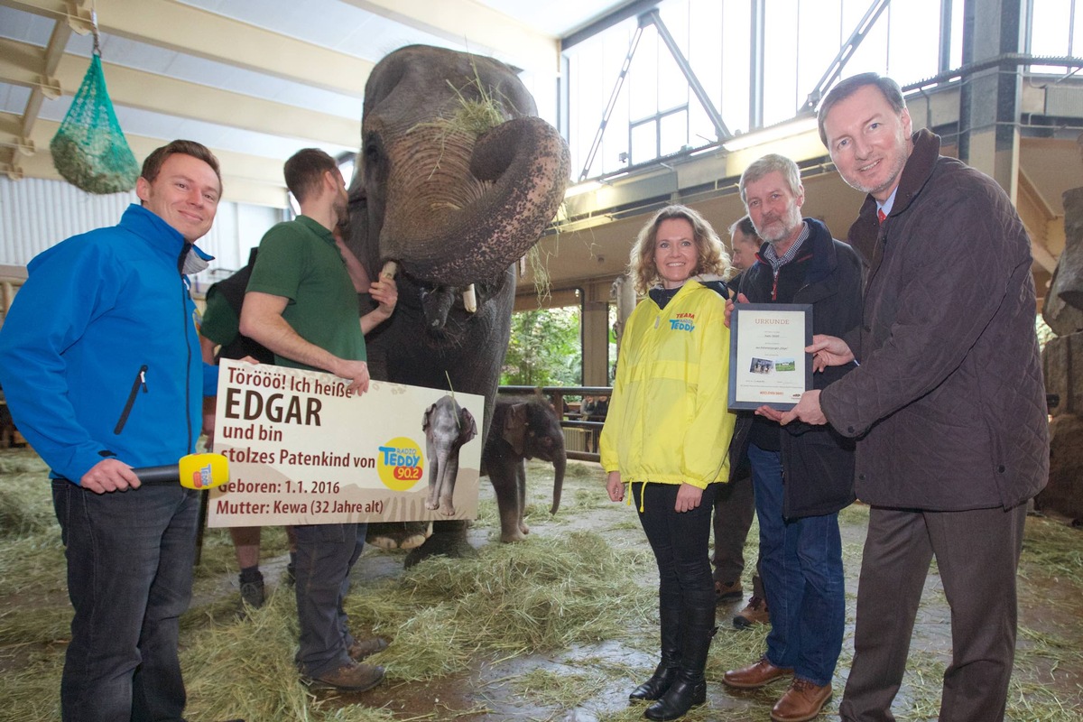 Im Tierpark steppt der Elefant - EDGAR heißt Berlins neuer Liebling!