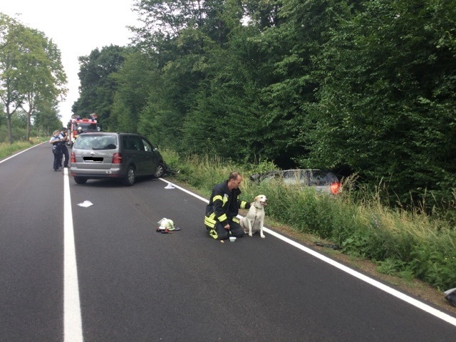 FW-BN: Frontalzusammenstoß zweier PKW - Beide Fahrer und ein Hund verletzt