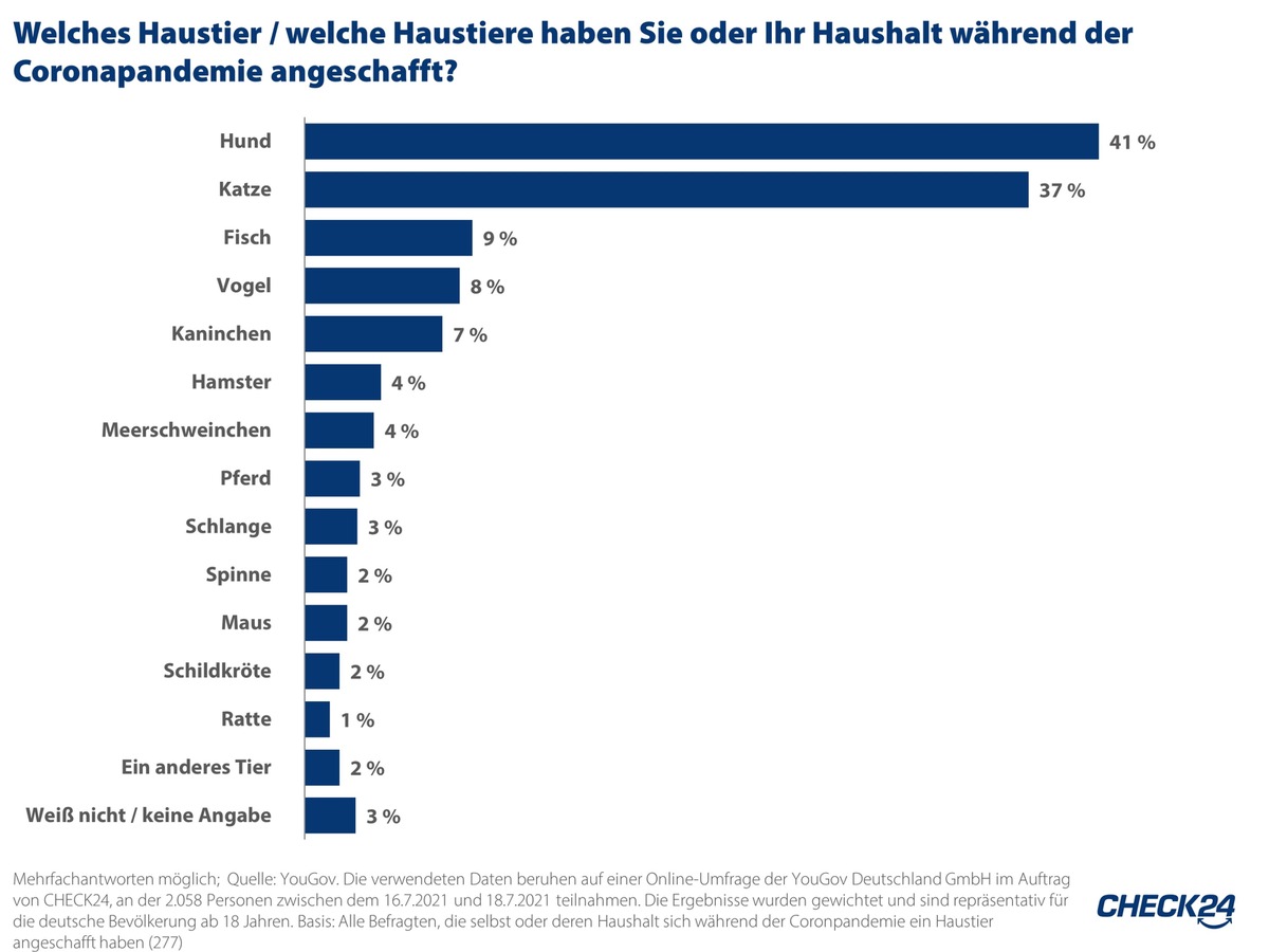 5,4 Millionen Haushalte kauften sich während Corona Haustiere