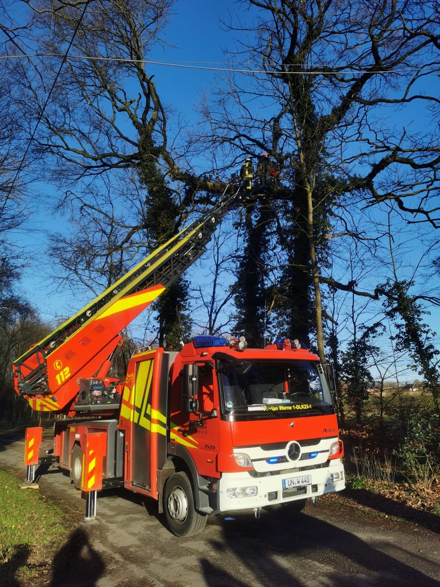 FW-WRN: TH_1 - LZ3 - DLK - großer Ast droht aus einem Baum auf einen Gehweg zu stürzen