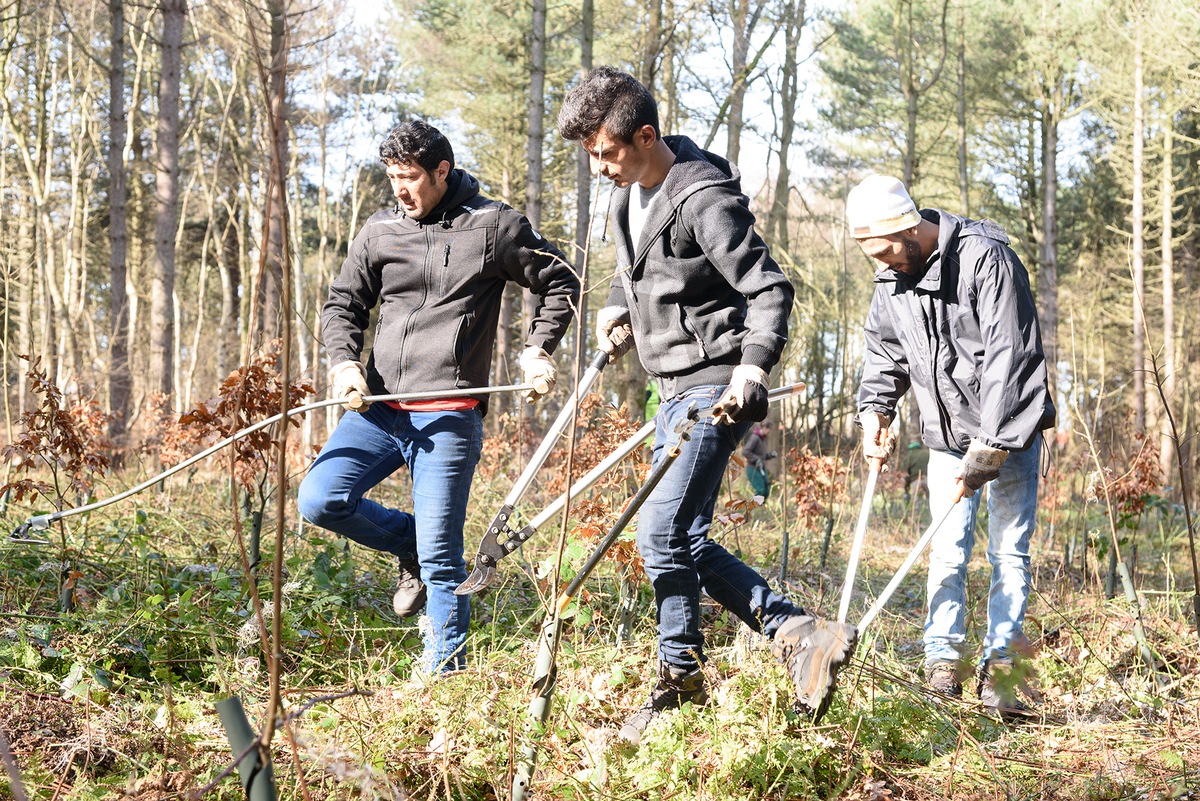 PRESSEMITTEILUNG: Gemeinsam im Einsatz für einen stabilen Inselwald - das Bergwaldprojekt e.V. mit über 70 Freiwilligen auf Amrum