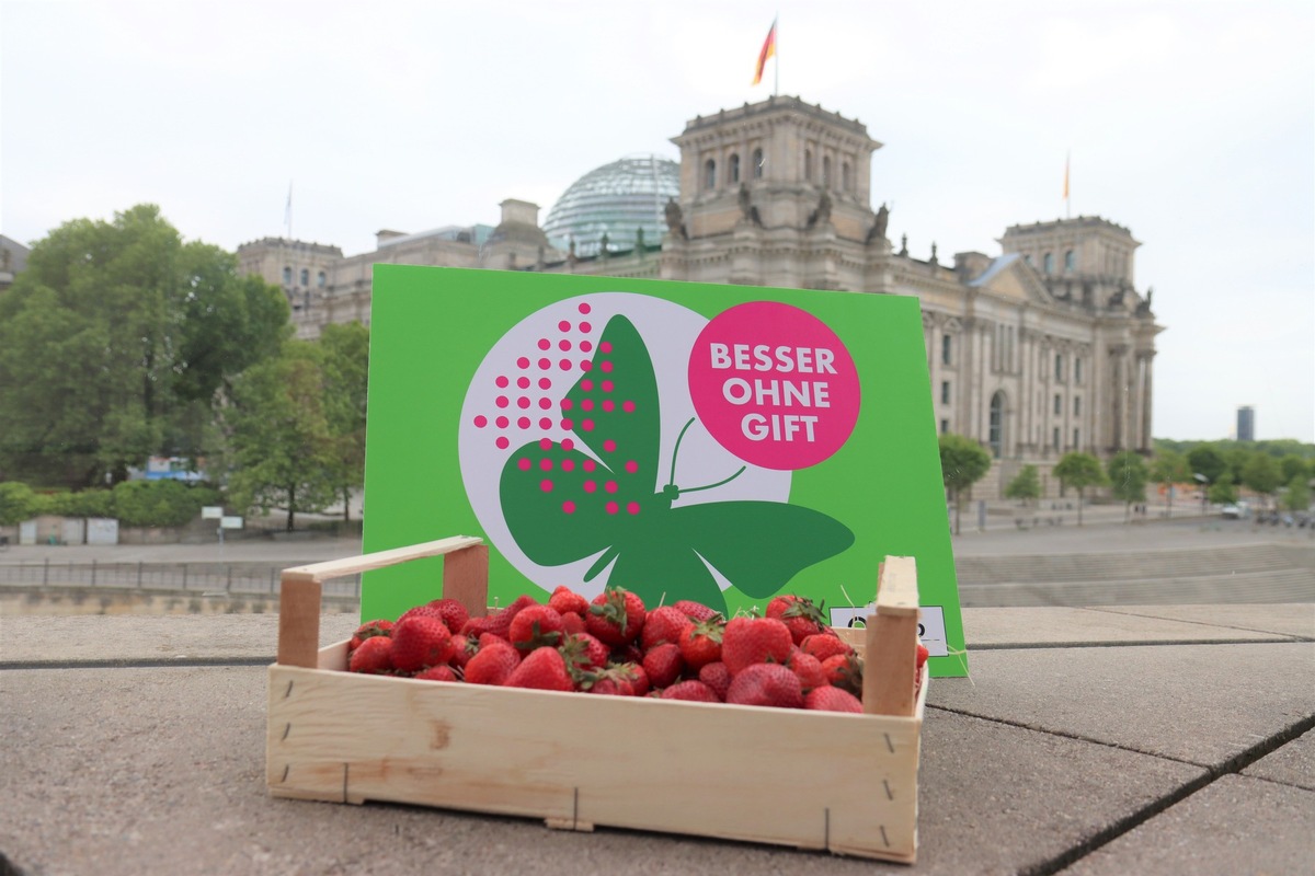 ++ BUND-Erdbeertest: Giftige Verlockung im Körbchen – Viele Erdbeeren pestizidbelastet – #BesserOhneGift  | SPERRFRIST 05.00 Uhr ++