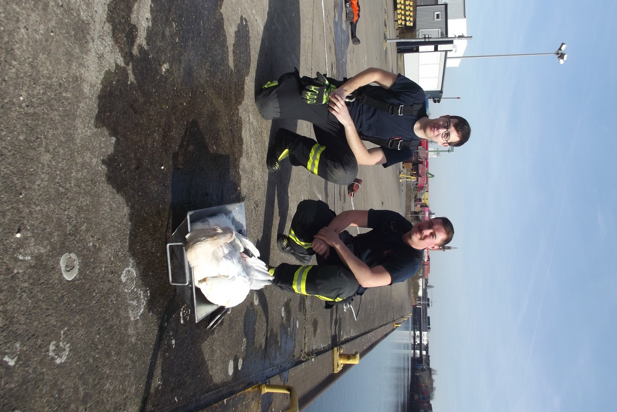 FW-DO: 17.02.2019 - Tierrettung am Kanal,
Feuerwehr rettet Schwan