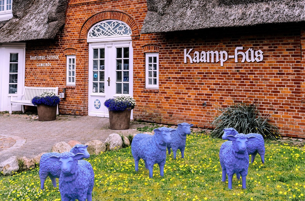 Blaue Friedensherde kommt nach Sylt