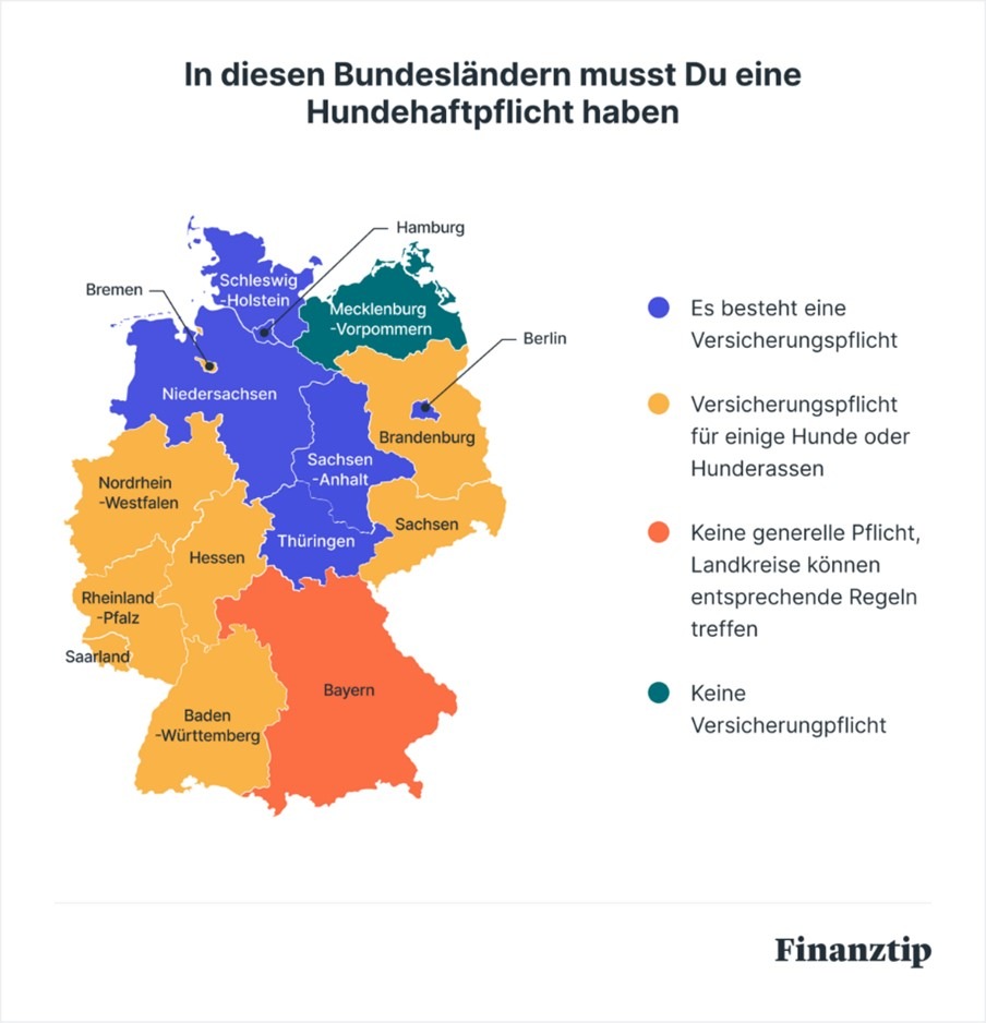 Türkratzer und Hundebisse: Die besten Hundehaftpflichtversicherungen im Check