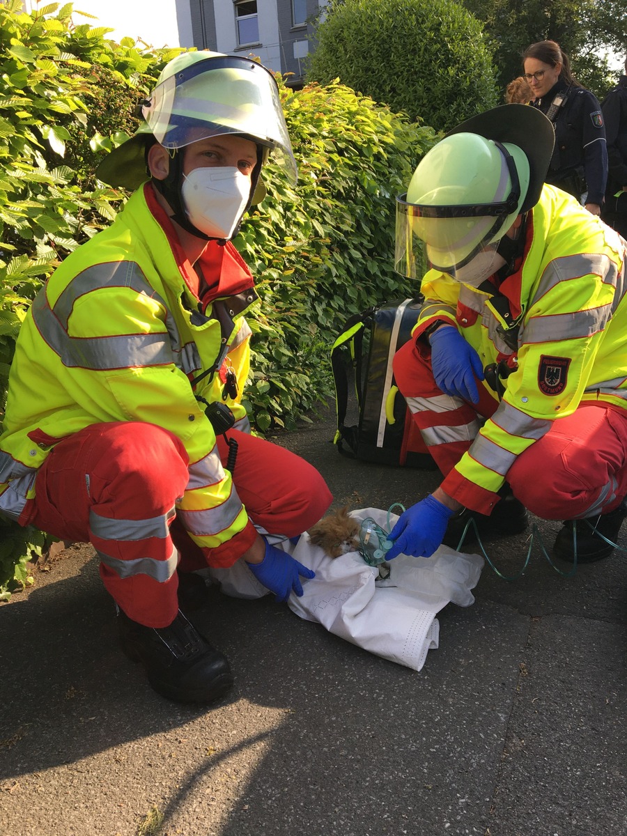 FW-DO: 09.05.2022 - Feuer in Huckarde Wohnungsbrand in Mehrfamilienhaus