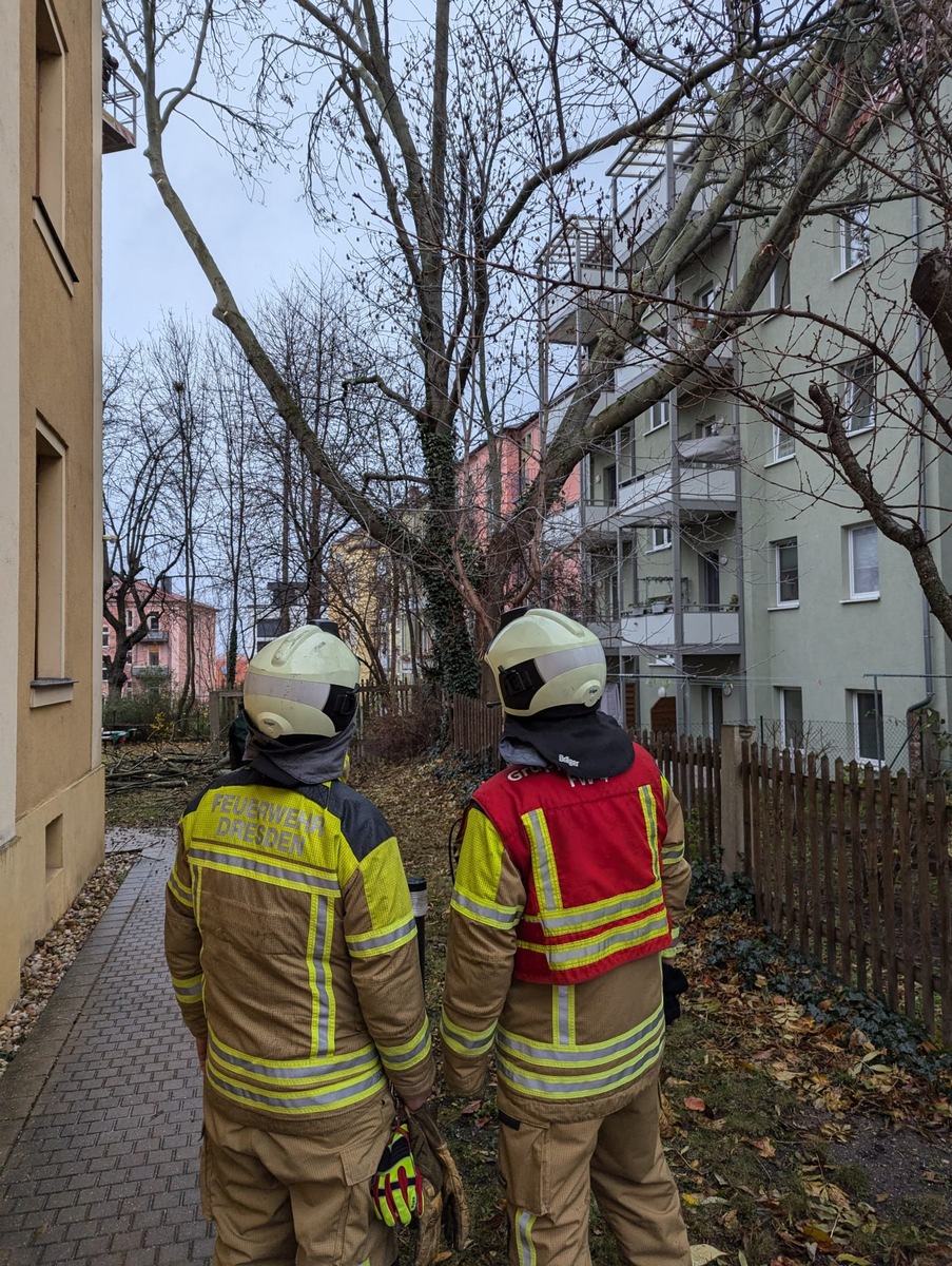 FW Dresden: Sturmtief über Dresden - mehrere Feuerwehreinsätze