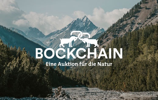 Bockchain: «Gian und Giachen» als NFT für einen guten Zweck