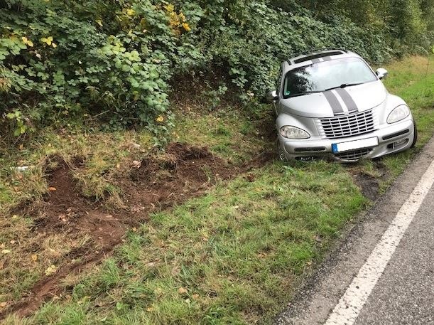 POL-PPWP: Maus verursacht Verkehrsunfall