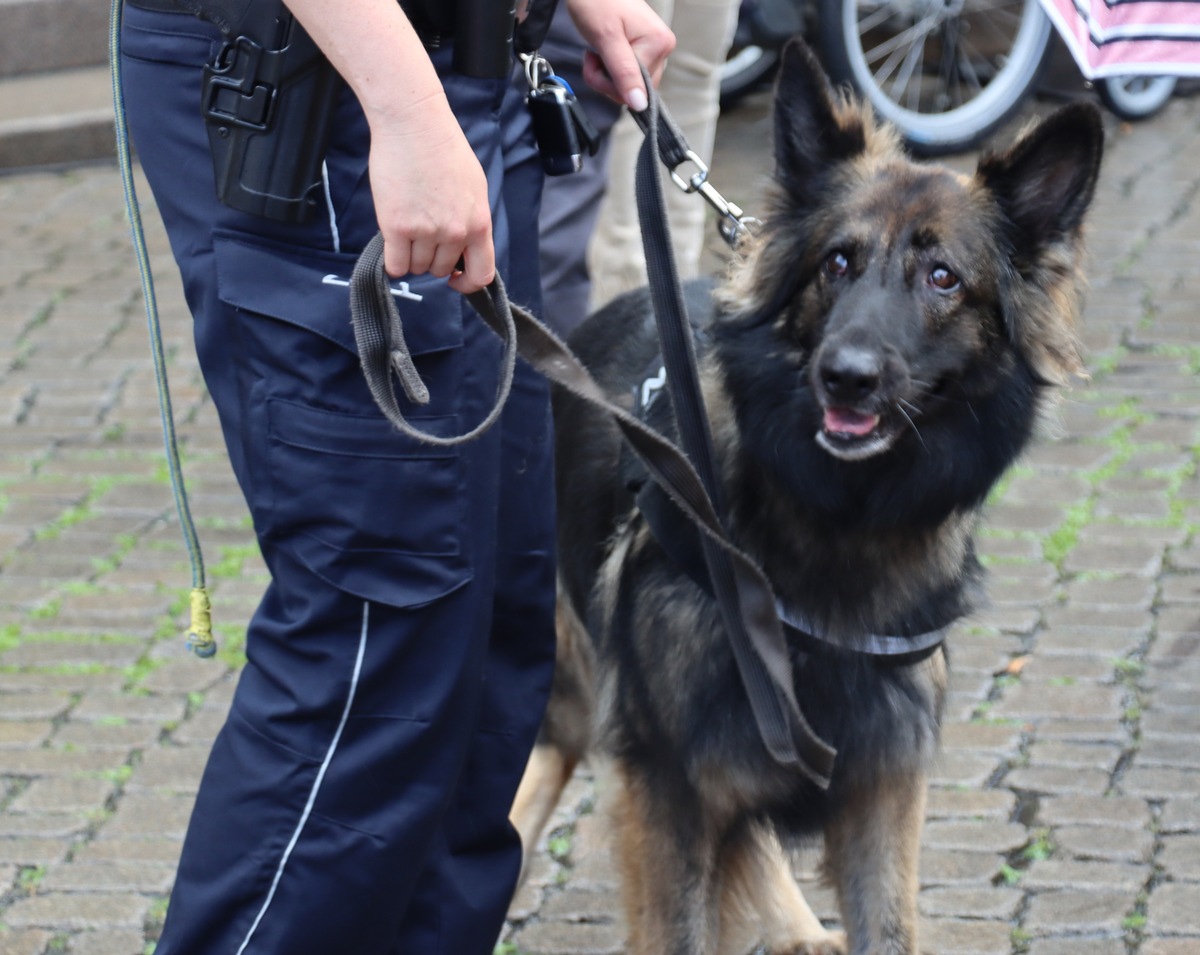 HZA-HB: Zollhündin Nanny verhindert Drogenschmuggel / Über 50 Gramm Marihuana bei Kontrolle am Bahnhof Leer sichergestellt