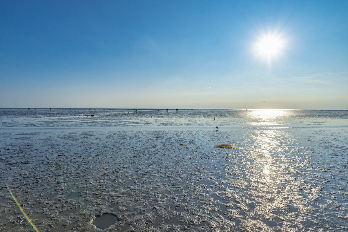 Natur pur! Einmalige Naturlandschaften - durchatmen in Büsum