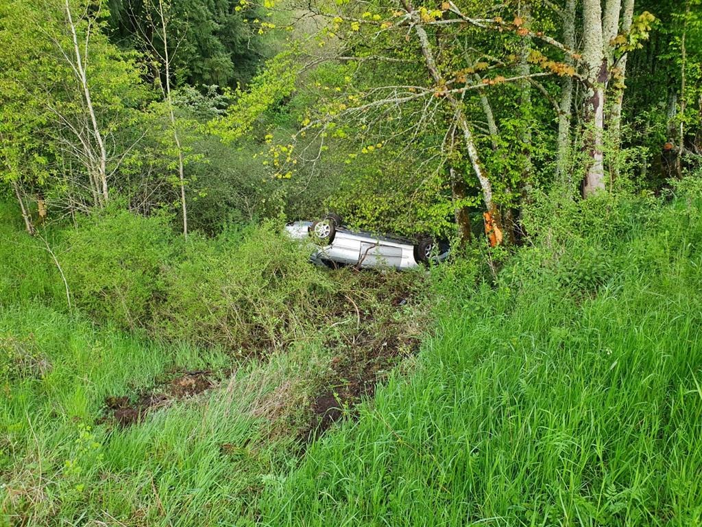 POL-PDTR: Verkehrsunfallflucht