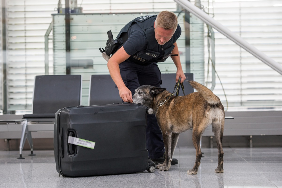 Bundespolizeidirektion München: Unbeaufsichtigter Rucksack bringt vermeintlichen Portugiesen ins Gefängnis
-Bundespolizisten nehmen gesuchten 27-Jährigen am Münchner Flughafen fest-