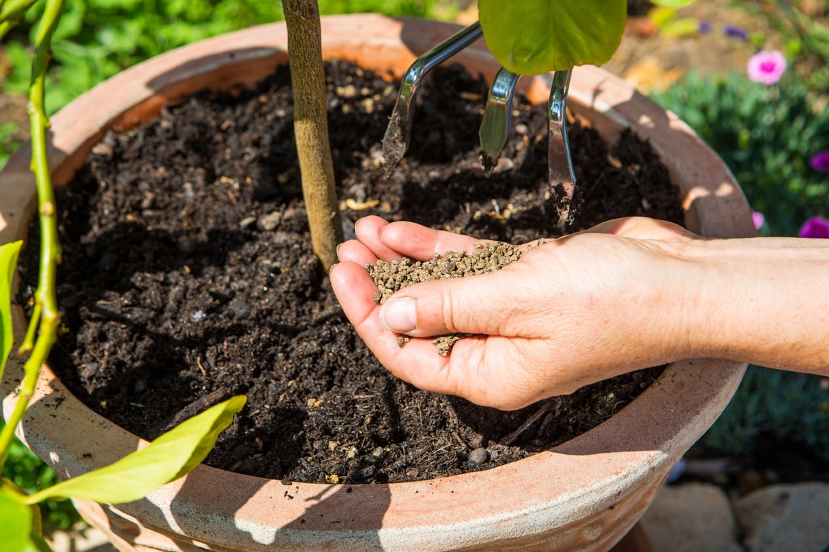 Frühling im Garten: So hilft der richtige Dünger beim Start in die neue Pflanzensaison