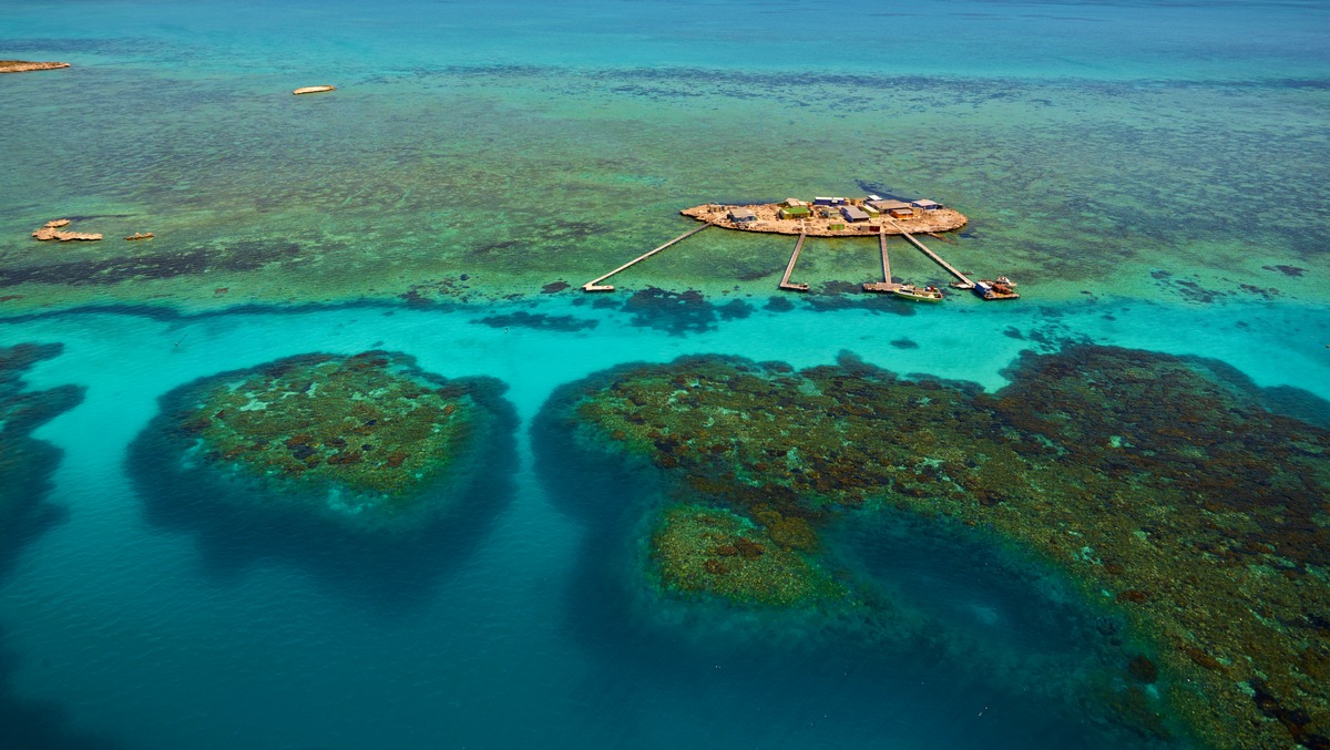 Wie Alice im Wunderland: Biodiversitäts-Hotspot Südwest-Australien / Streifzug durch eine der artenreichsten Regionen unserer Erde zum Internationalen Tag der biologischen Artenvielfalt am 22. Mai