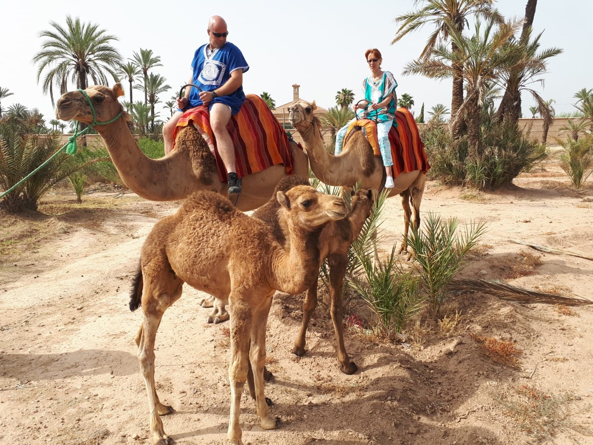 Fliegenlernen bei kabel eins: &quot;Urlaub für Anfänger&quot; startet am Donnerstag, 27. September 2018, in Marrakesch, Venedig und Edinburgh