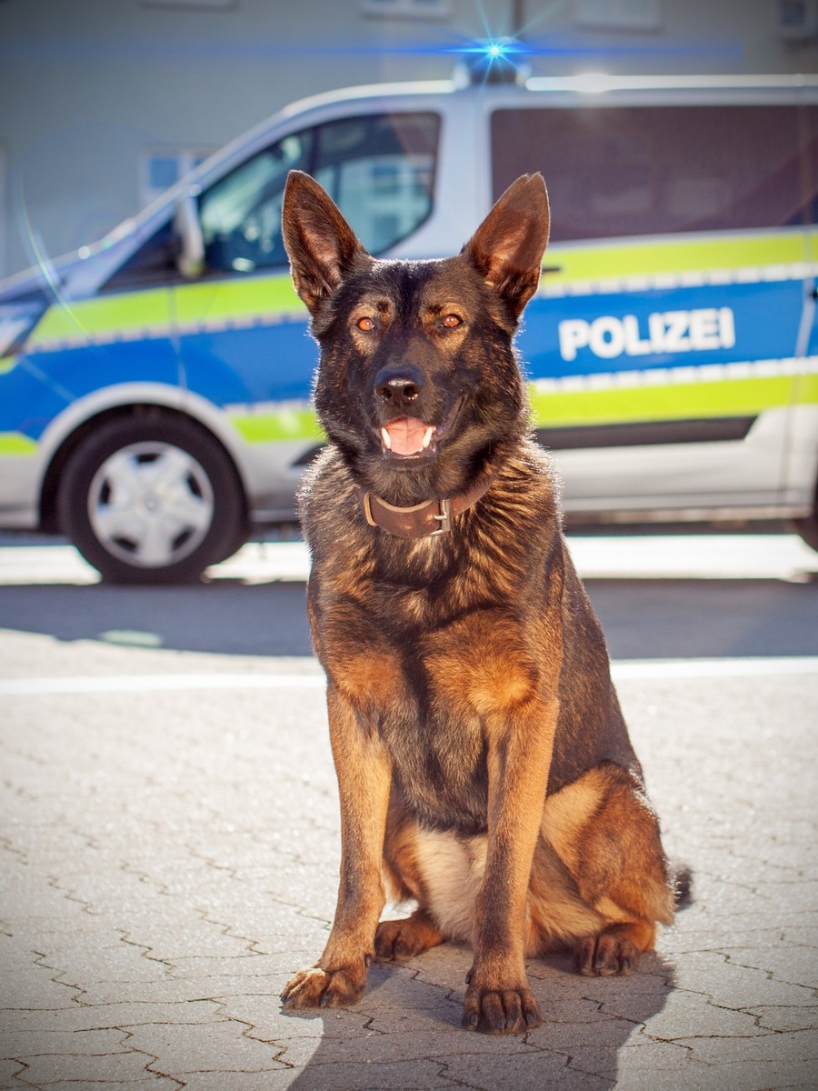 POL-HH: 240711-3 Eine Zuführung nach versuchtem Raubdelikt auf Autofahrer in Hamburg-Altona-Nord