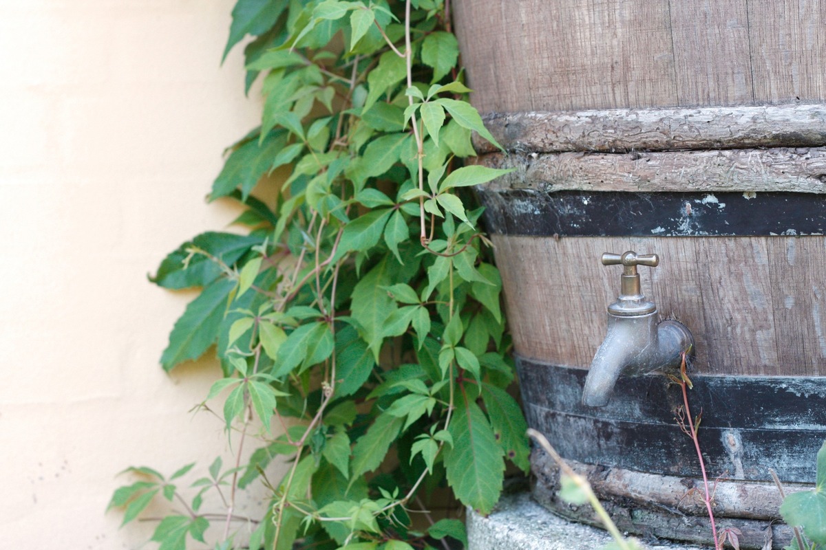 Regenwasser sinnvoll nutzen