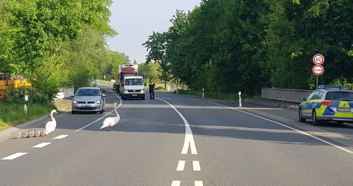 POL-LG: ++ Vögelsen - WhatsApp-Betrug &quot;erfolgreich&quot; - Hinweise der Polizei ++ Lüneburg - Indoor-Plantage &quot;aufgeflogen&quot; ++ Bienenbüttel, OT. Grünhagen - ... mit Geleitschutz über die Bundesstraße 4 ++