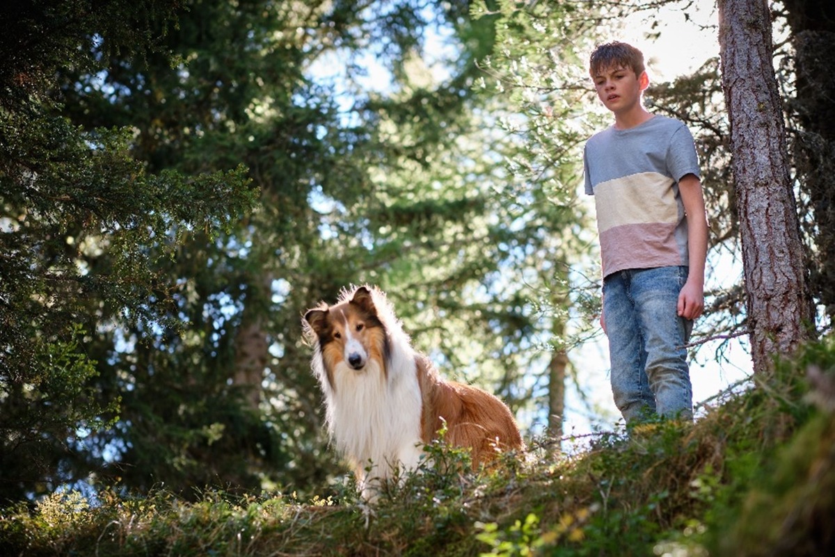 Teaser-Trailer zu LASSIE - EIN NEUES ABENTEUER / Ab 27. Juli 2023 im Kino