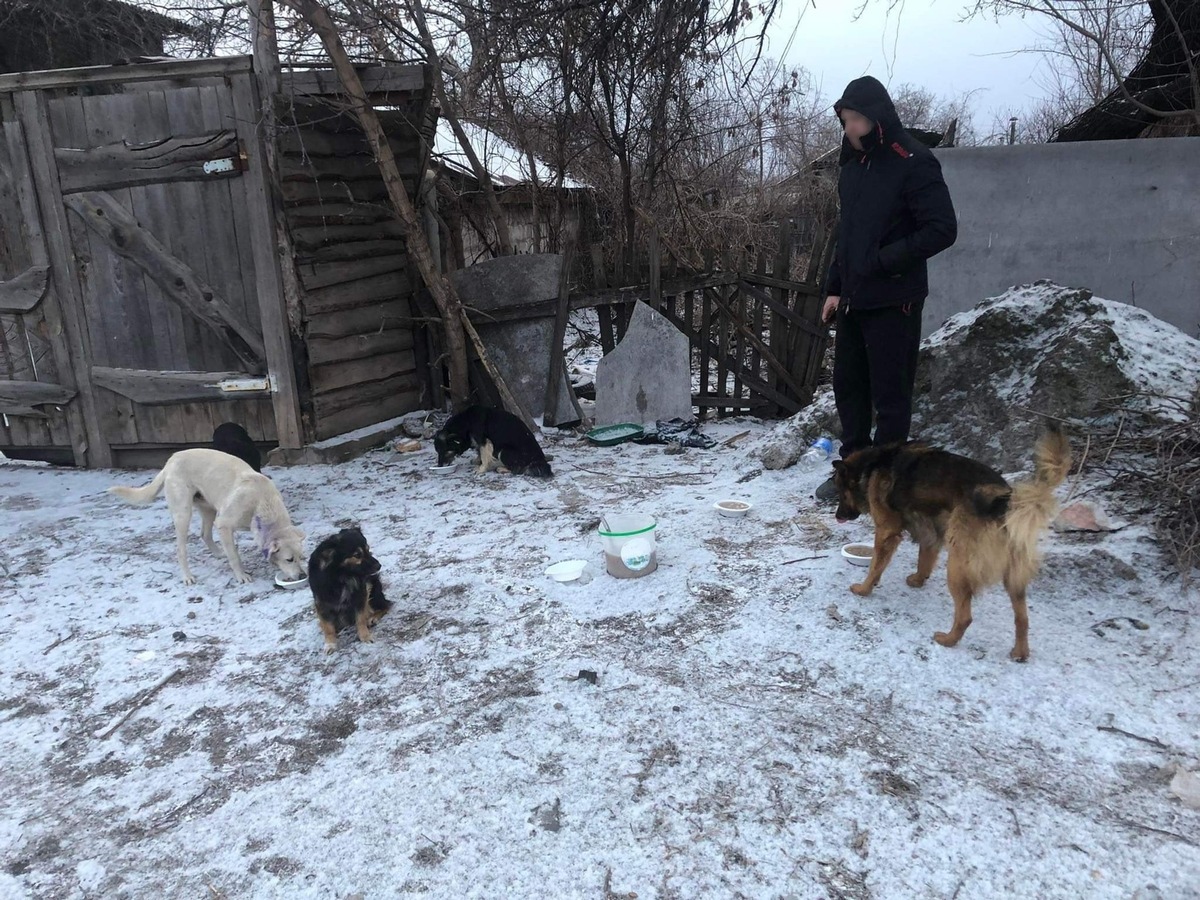 QUATRE PATTES et ses partenaires apportent un soutien urgent aux refuges pour animaux en Ukraine