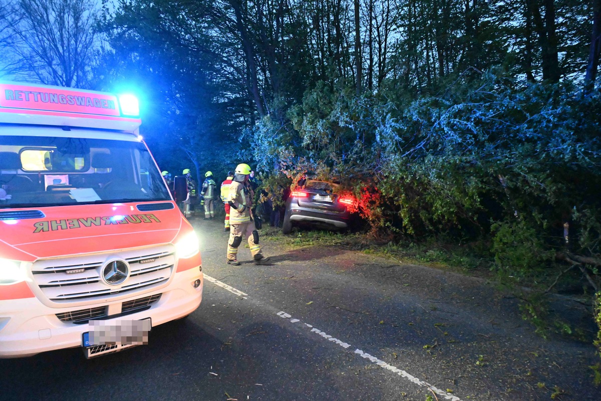 FW Pulheim: PKW prallte auf der K9 gegen Baum