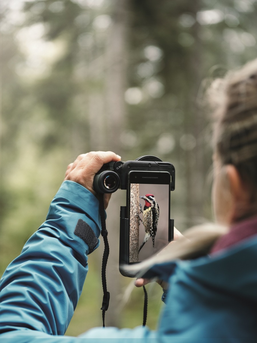 Outdoor-Trend bei Schweizern: Noch nie wurden so viele Ferngläser gekauft