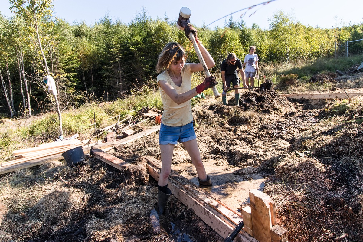 Abschluss der Moorwiedervernässung im Nationalpark Hunsrück-Hochwald durch das Bergwaldprojekt