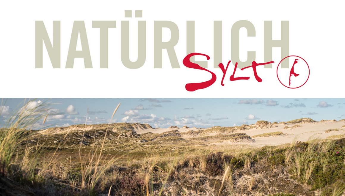 Die neue digitale „Natürlich Sylt&quot; ist online