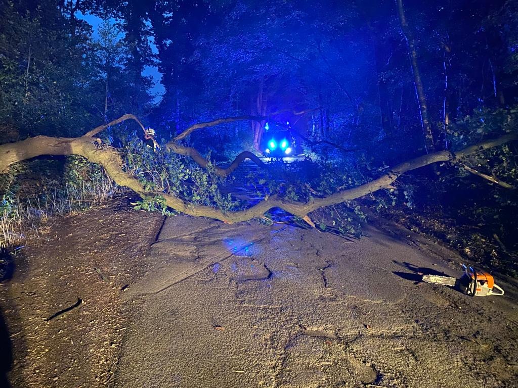 FW-EN: Wetter - Baum auf Fahrbahn