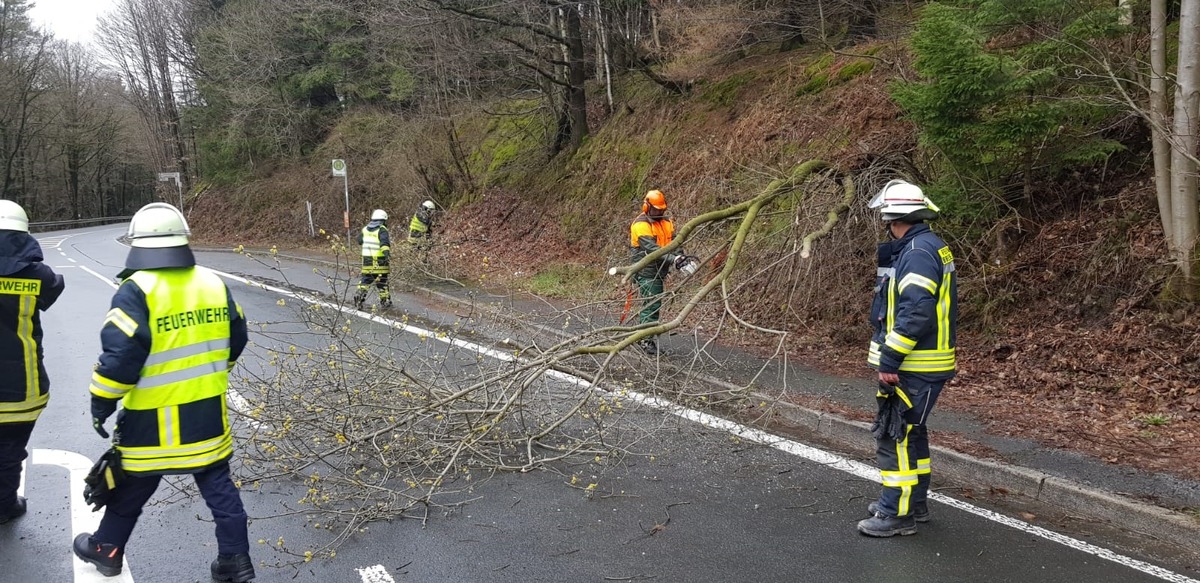 FW-EN: Umgestürzter Baum auf der L699