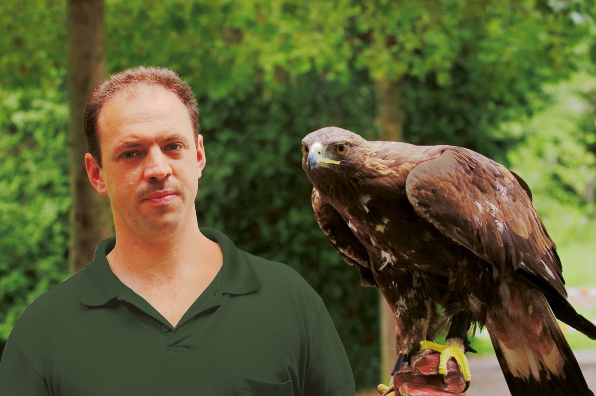 Flugschau mit Greifvögeln auf Schloss Wildegg